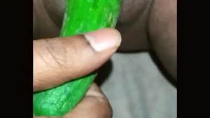 Pallavi bhabhi pussy big dildo